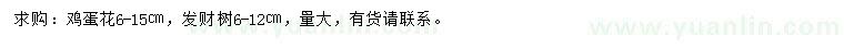 求购6-15公分鸡蛋花、6-12公分发财树