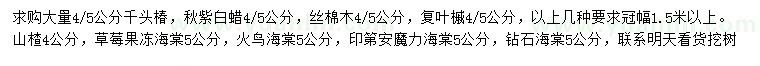 求购千头椿、秋紫白蜡、丝棉木等