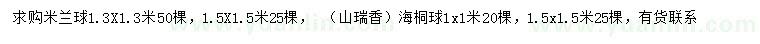 求购1.3、1.5米米兰球、1、1.5米海桐球