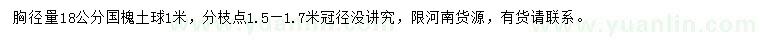 求购胸径18公分国槐