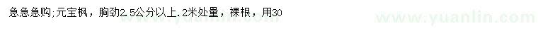 求购2米量2.5公分以上元宝枫