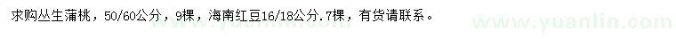 求购50、60公分丛生蒲桃、16、18公分海南红豆