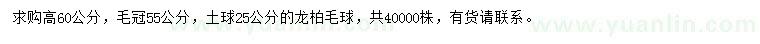 求购冠幅55公分龙柏球