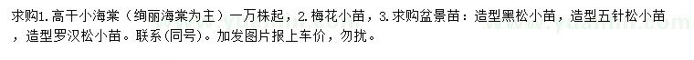 求购绚丽海棠、梅花、造型黑松等