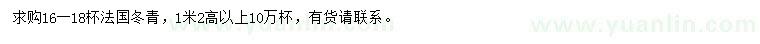 求购高1.2米以上法国冬青