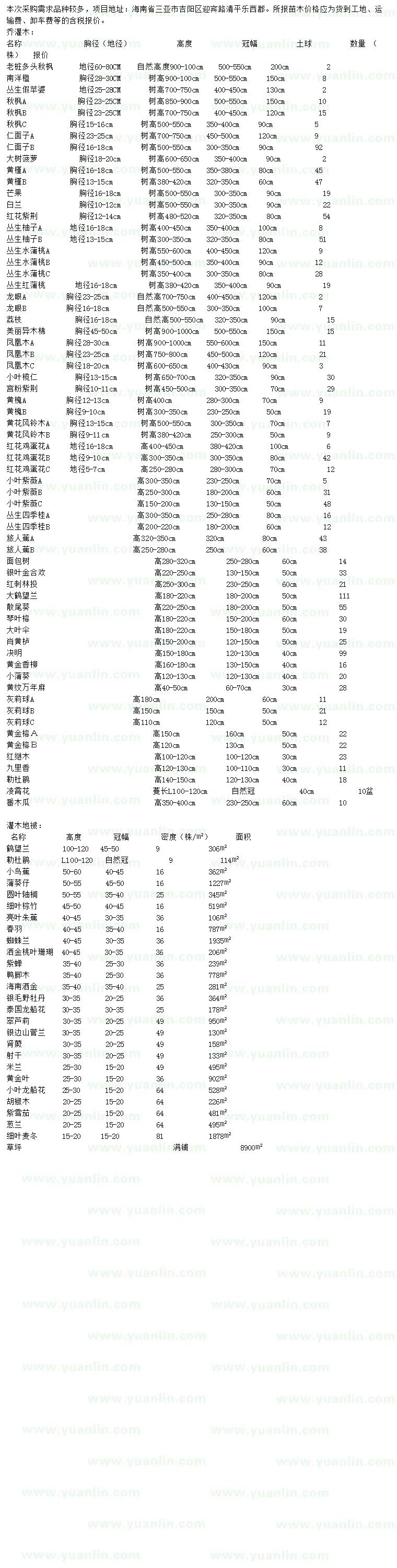 求购老桩多头秋枫、南洋楹、丛生假苹婆等