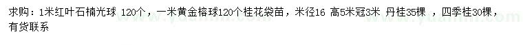 求购红叶石楠球、黄金榕球、丹桂等