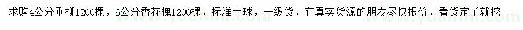 求购4公分垂柳、6公分香花槐