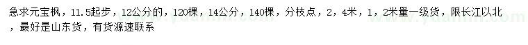 求购11.5、12、14公分元宝枫