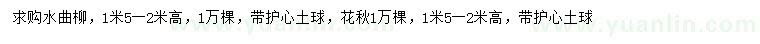 求购高1.5-2米水曲柳、花楸