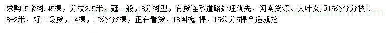 求购栾树、大叶女贞、国槐等