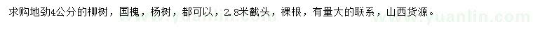 求购柳树、国槐、杨树