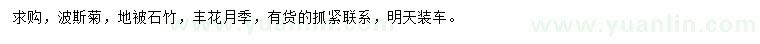 求购波斯菊、地被石竹、丰花月季