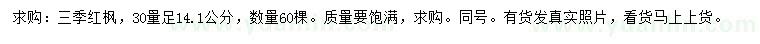 求购30量14.1公分三季红枫