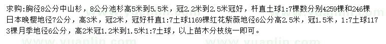 求购中山杉、池杉、日本晚樱等