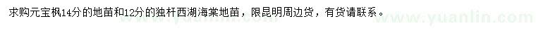 求购14公分元宝枫、12公分西湖海棠