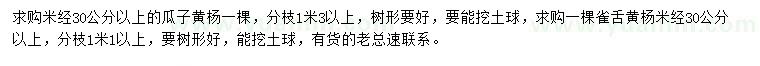 求购米径30公分以上瓜子黄杨、雀舌黄杨