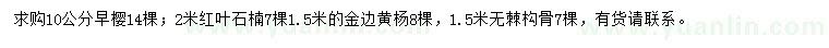 求购早樱、红叶石楠、金边黄杨等