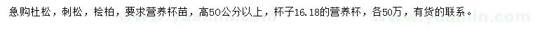 求购杜松、刺松、桧柏