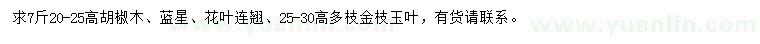 求购胡椒木、蓝星、花叶连翘等