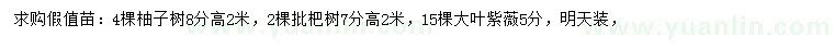 求購柚子樹、枇杷樹、大葉紫薇