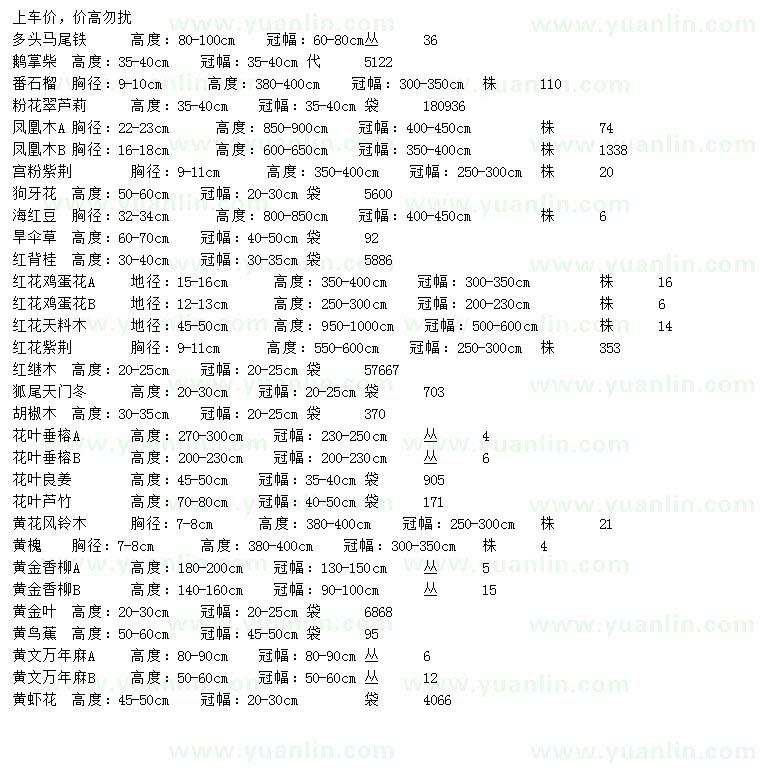 求购多头马尾铁、鹅掌柴、番石榴等