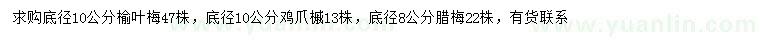 求购榆叶梅、鸡爪槭、腊梅