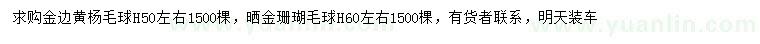 求购高50公分左右金边黄杨毛球、高60公分左右洒金珊瑚毛球