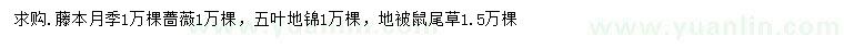 求购藤本月季、蔷薇、五叶地锦等