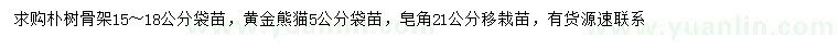 求购朴树、黄金熊猫、皂角