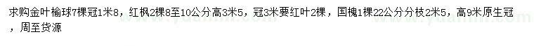 求购金叶榆球、红枫、国槐