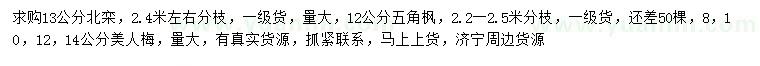 求购北栾、五角枫、美人梅