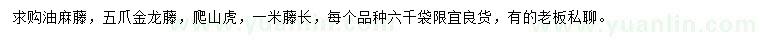 求购油麻藤、五爪金龙藤、爬山虎