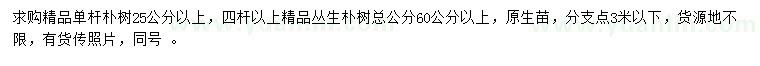 求购25公分以上朴树、60公分以上丛生朴树