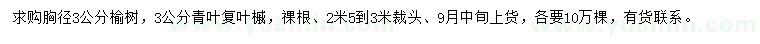 求购胸径3公分榆树、青叶复叶槭