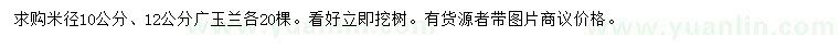 求购米径10、12公分广玉兰