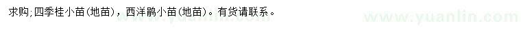 求购四季桂小苗、西洋鹃小苗