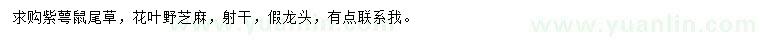 求购紫萼鼠尾草、花叶野芝麻、射干