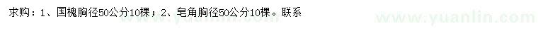 求购胸径50公分国槐、皂角