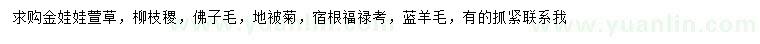 求购金娃娃萱草、柳枝稷、佛子毛等