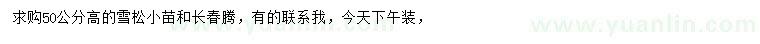 求购高50公分雪松小苗、长春腾