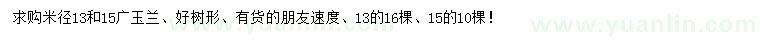 求购米径13、15公分广玉兰