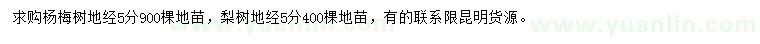 求购地径5公分杨梅树、梨树