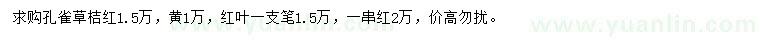 求购孔雀草、红叶一支笔、一串红