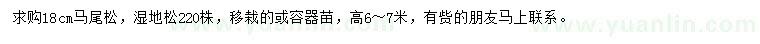 求购18公分马尾松、湿地松