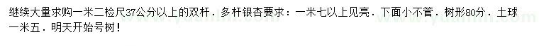 求购1.2米量37公分以上双杆、多杆银杏