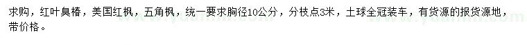 求购红叶臭椿、美国红枫、五角枫