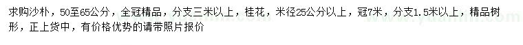 求购50-65公分沙朴、米径25公分以上桂花