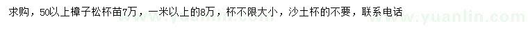 求购50公分以上、1米以上樟子松