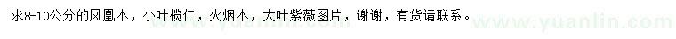 求购凤凰木、小叶榄仁、火烟木